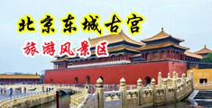 好舒服使劲操我视频中国北京-东城古宫旅游风景区